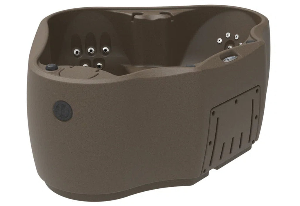 Premium AR300 2-Person 20-Jet Oval Plug & Play Hot Tub with Ozonator, Powered by Jacuzzi Pumps