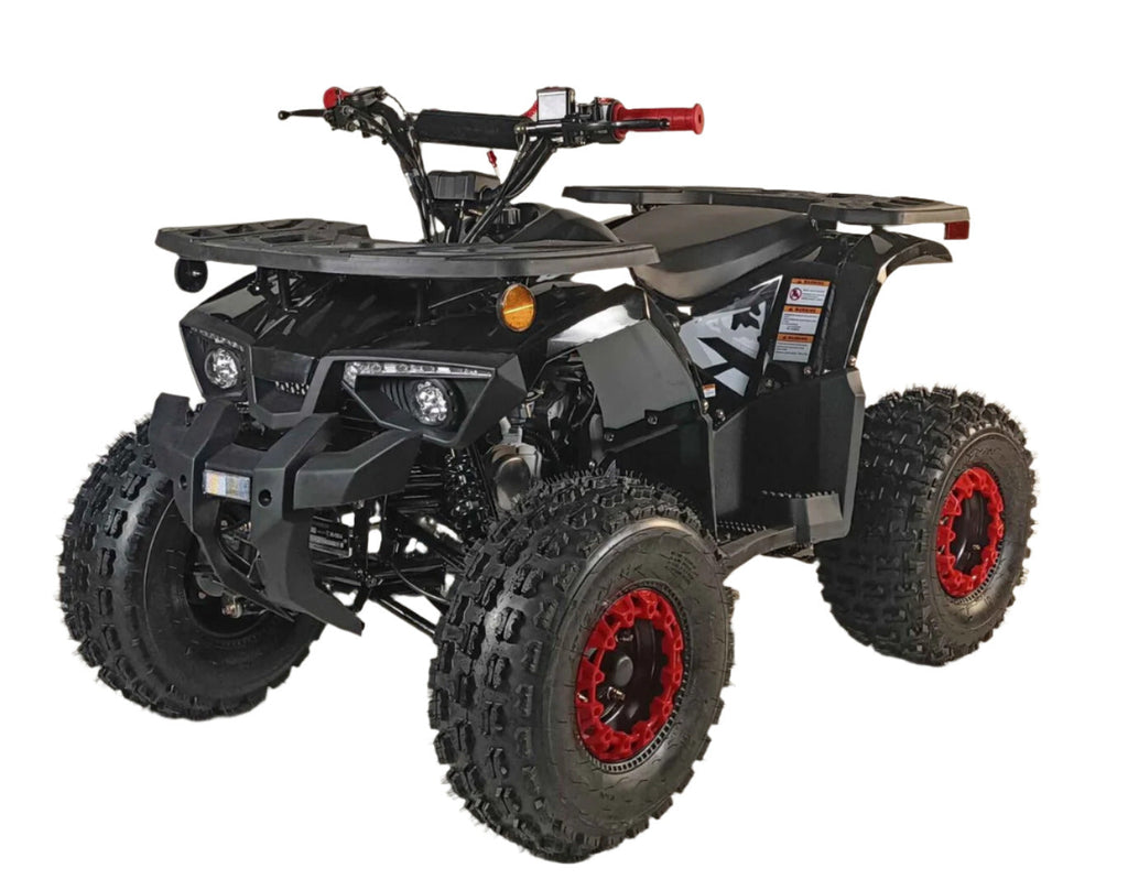 125cc Youth ATV 4-stroke 1-cylinder JUST ARRIVED 2025