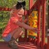 Limited Supply Five Star II Swing Set